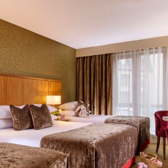 Classic Family Room - 450x600