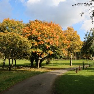 Tralee Town Park Autumn 330x330