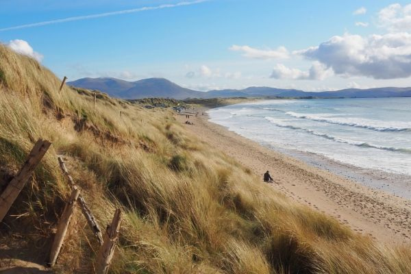24 hours Tralee