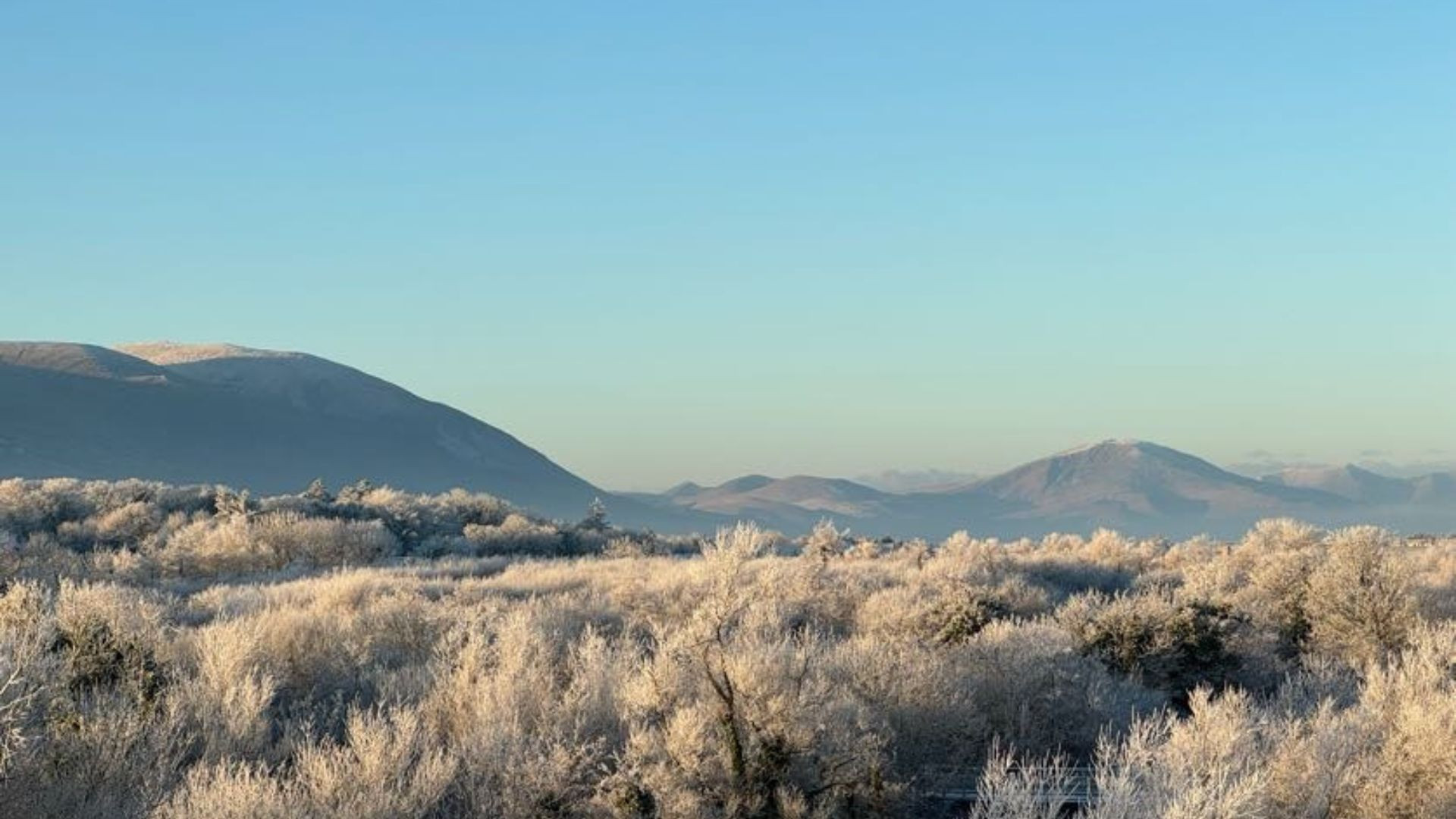  Winter in Tralee www.therosehotel.com_v3