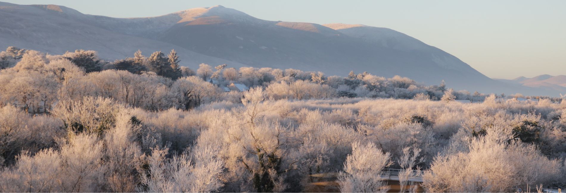 Untitled design www.therosehotel.com_v3