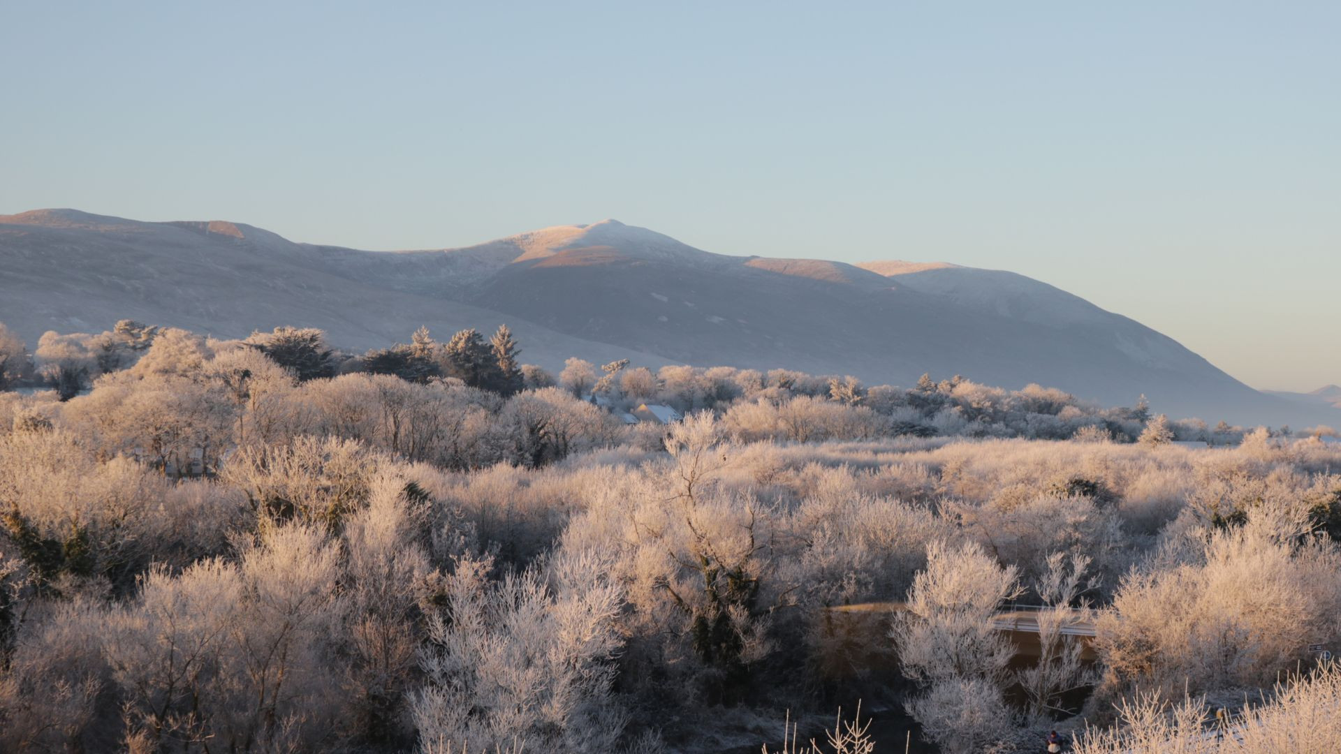 Untitled design www.therosehotel.com_v3