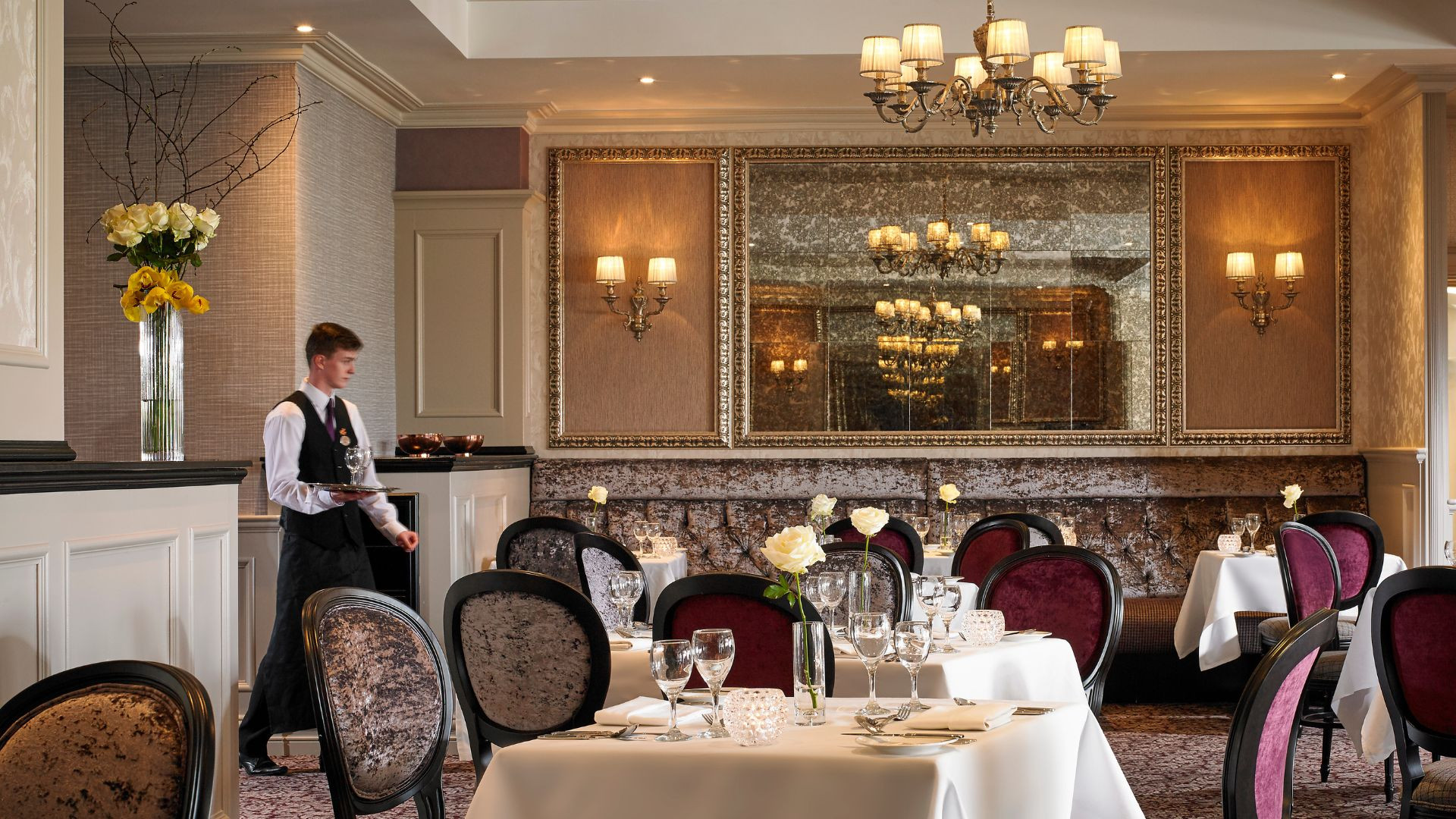 X  px www.therosehotel.com_v3