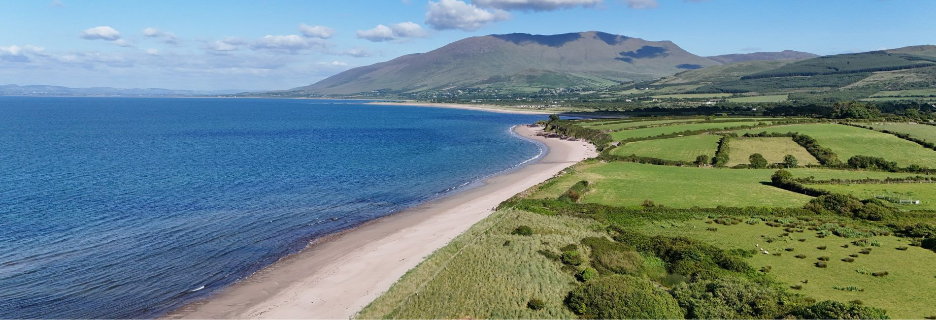 X  px www.therosehotel.com_v3