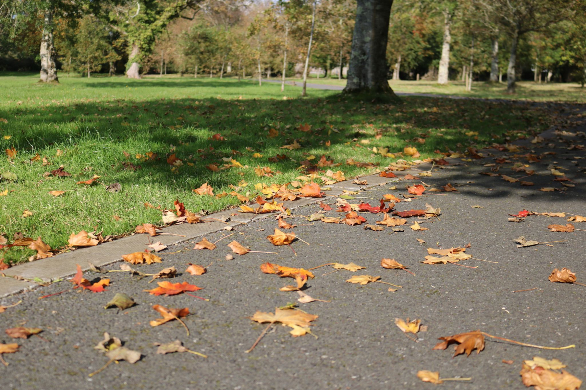 Autumn Break