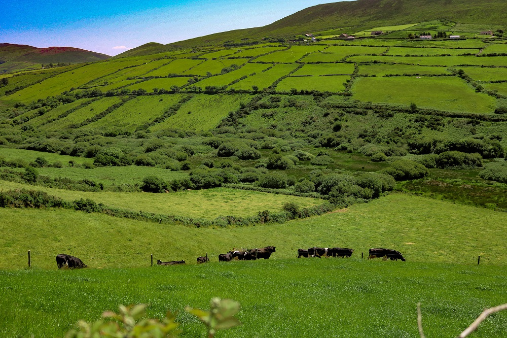 Dingle Penninsula