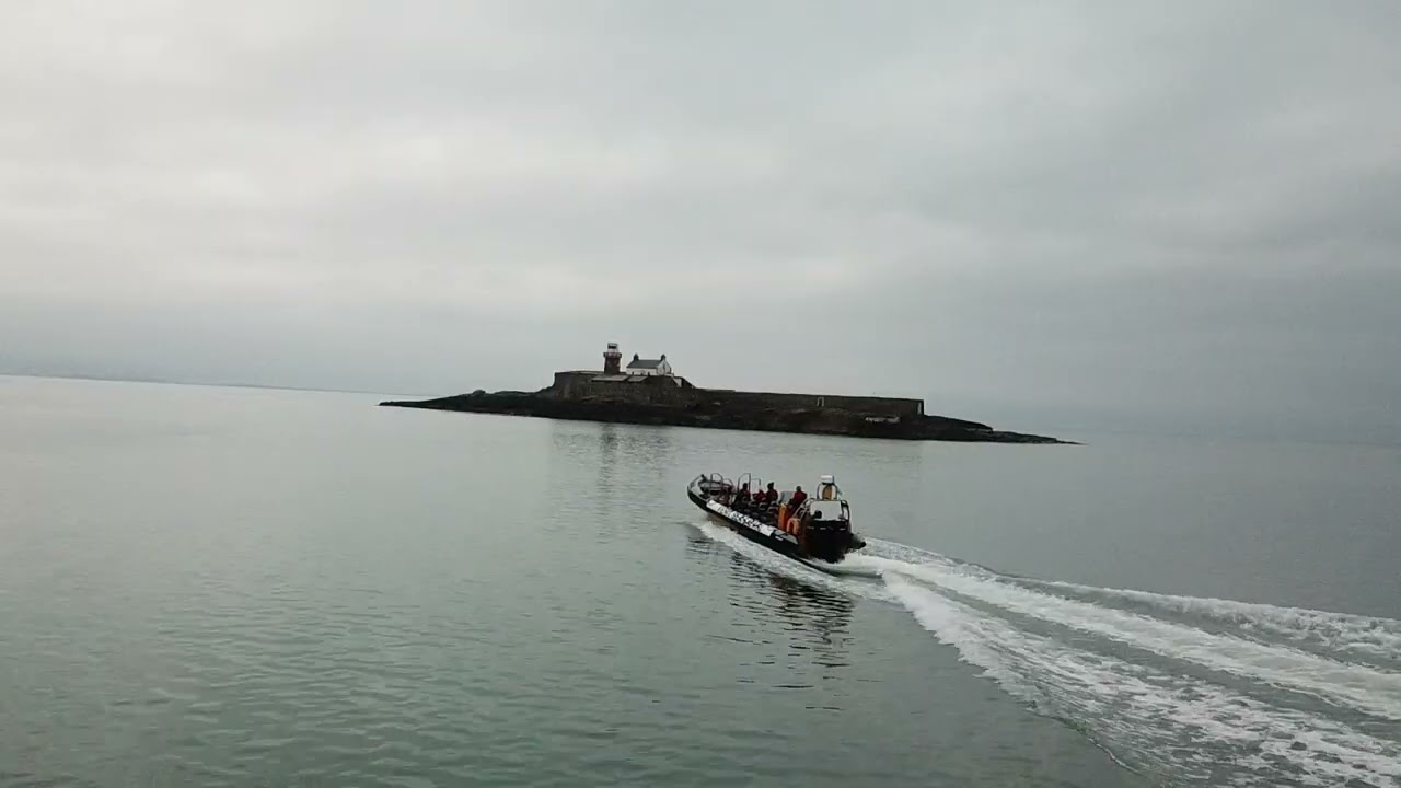 Fenit Sea Safari