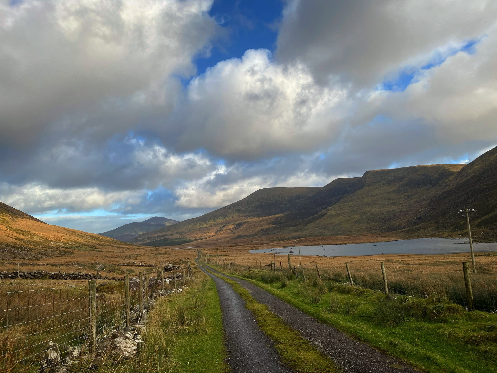 Autumn Tralee