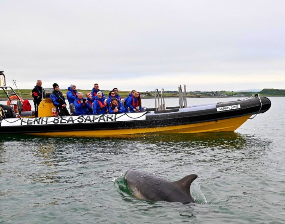 8 Reasons to visit Tralee