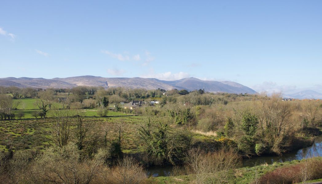 Perfect Day in Tralee 