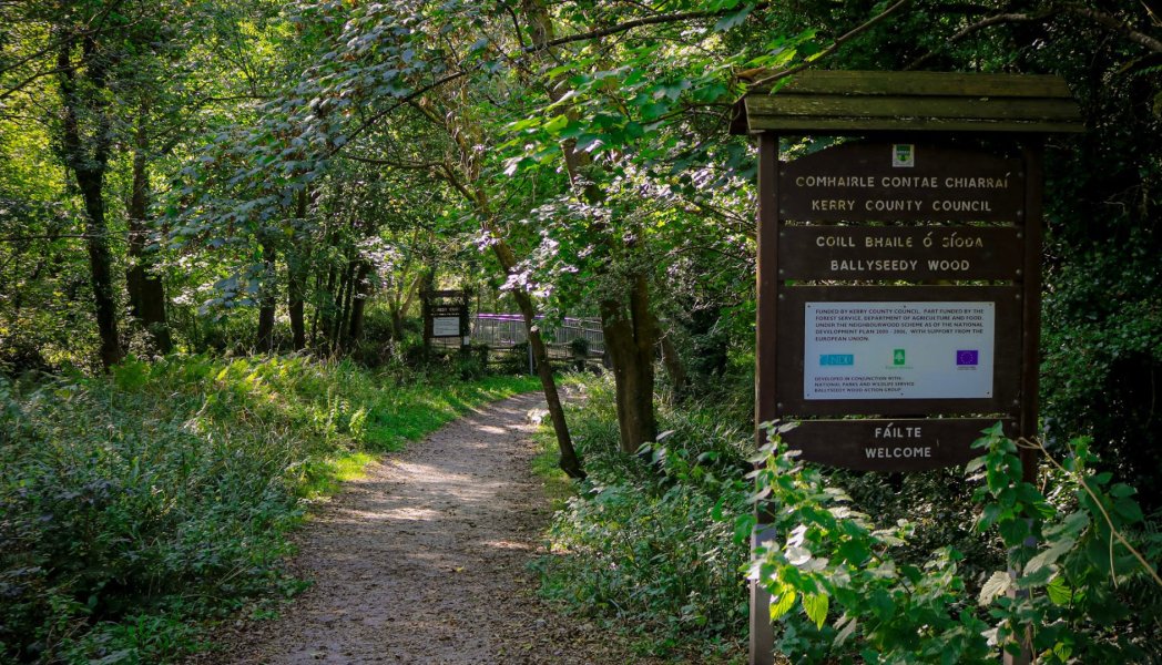 Ballyseedy woods www.therosehotel.com_v3