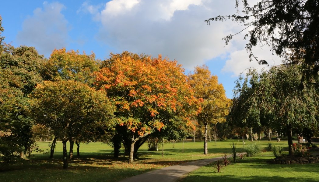 Tralee town park autumn x www.therosehotel.com_v3