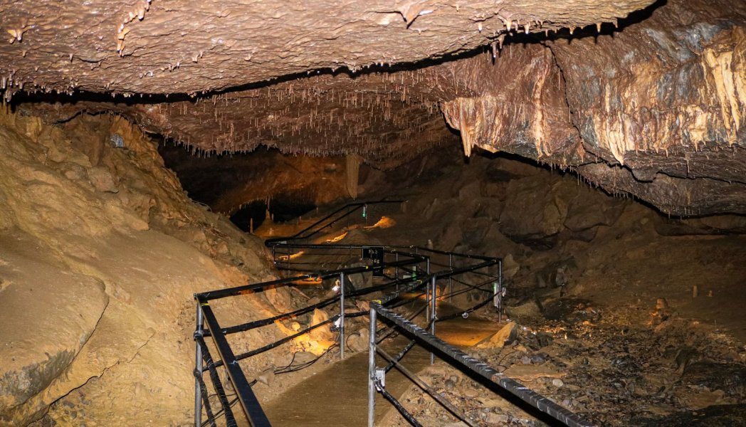 Crag Cave in Castleisland