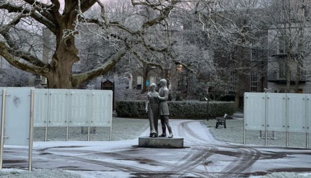 Winter in Tralee Town Park 