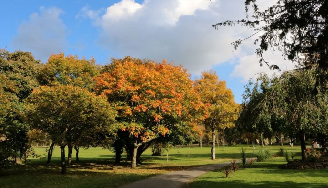 Tralee Town Park
