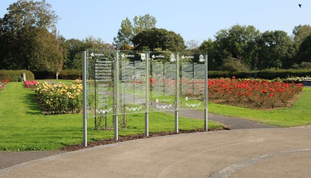 Flowers in Tralee Town Park