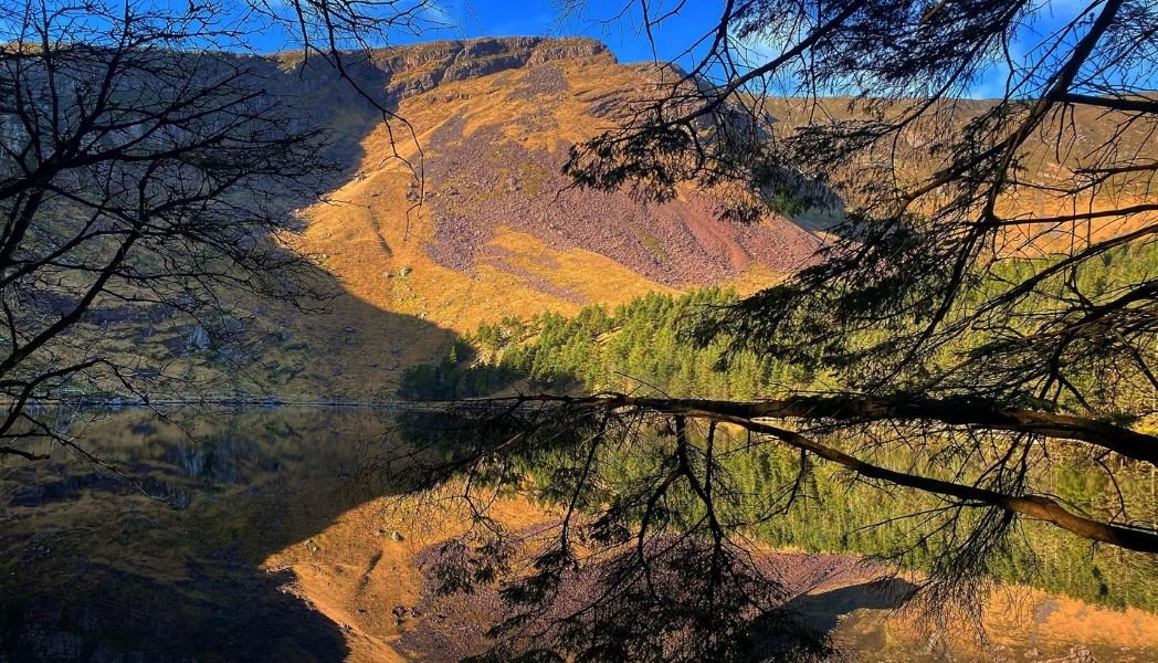 Autumn Breaks at The Rose Hotel 