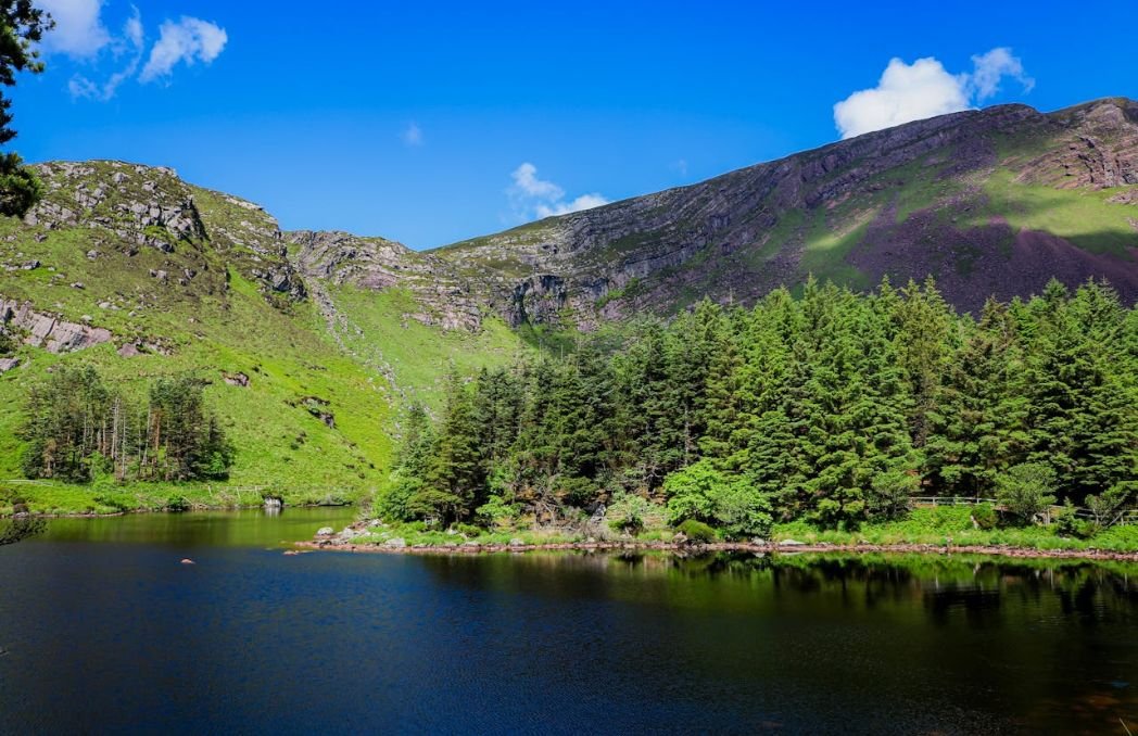 Glanteenassig Forest Park 