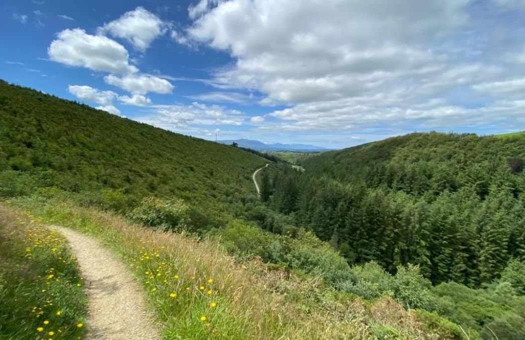 Glanageenty Forest