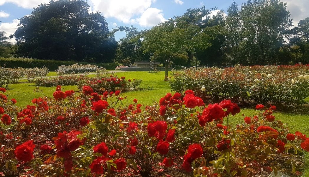 Rose garden tralee gallery www.therosehotel.com_v3