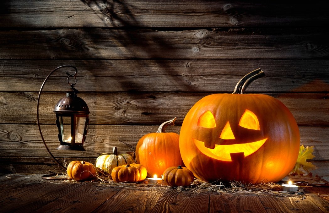 Halloween pumpkins x www.therosehotel.com_v3